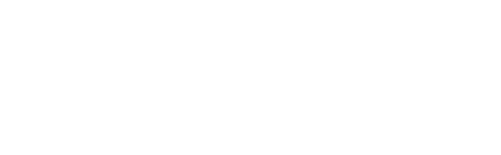 Vonixx